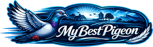 MyBestPigeon